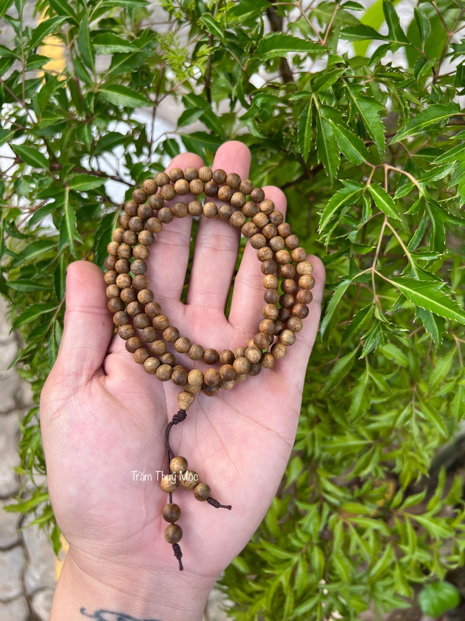 z3937980604990_24e2c8b680c6c9ba811dca1a58356599